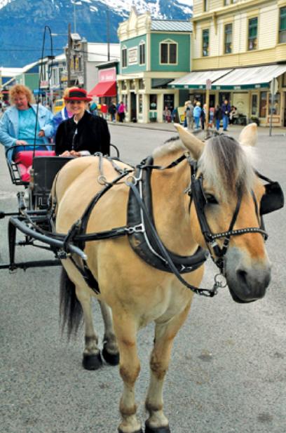 Skagwayhorse